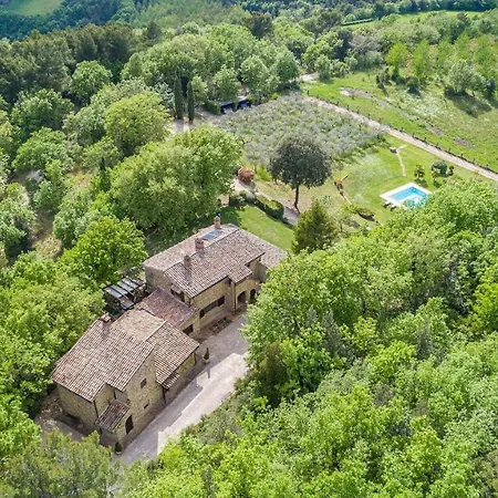 Villa La Cerqua 8, Emma *